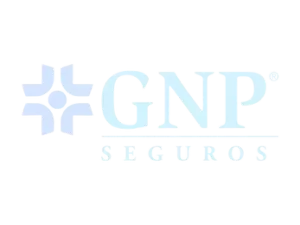 gnp